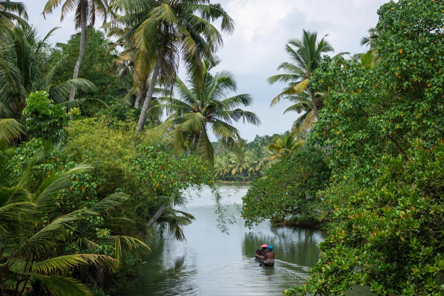 Backwaters de Munroe Island, Kerala, Inde