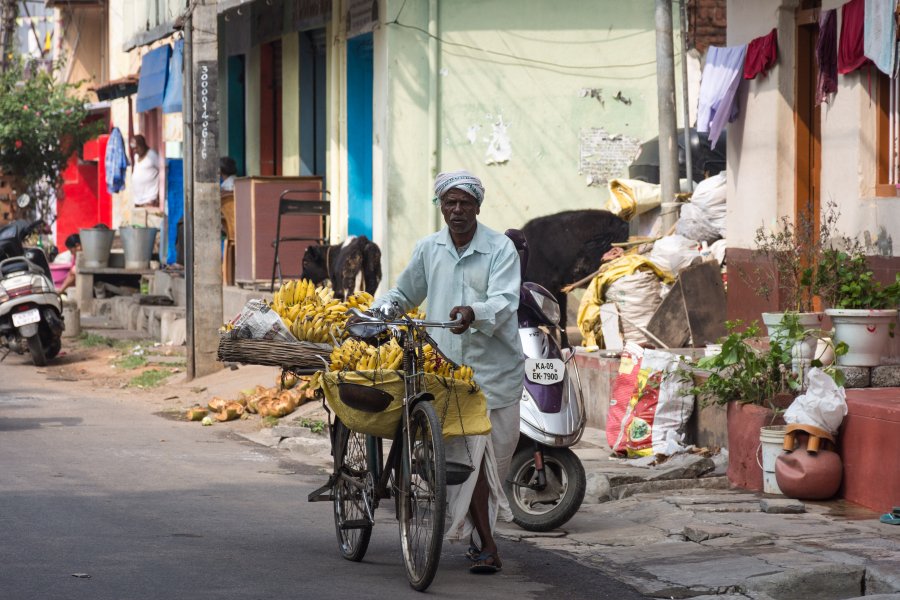 Rue de Mysore, Karnataka, Inde