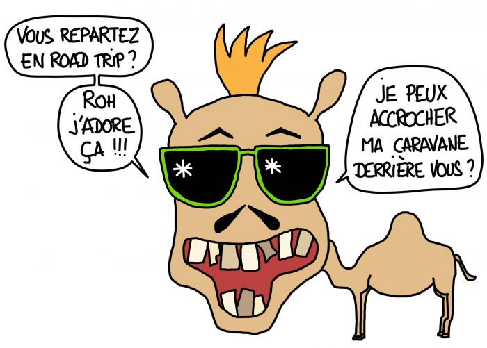 Dessin : dromadaire marocain qui veut partir en road trip