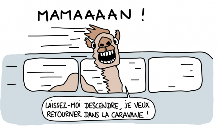 Dessin : dromadaire dans le nouveau TGV marocain