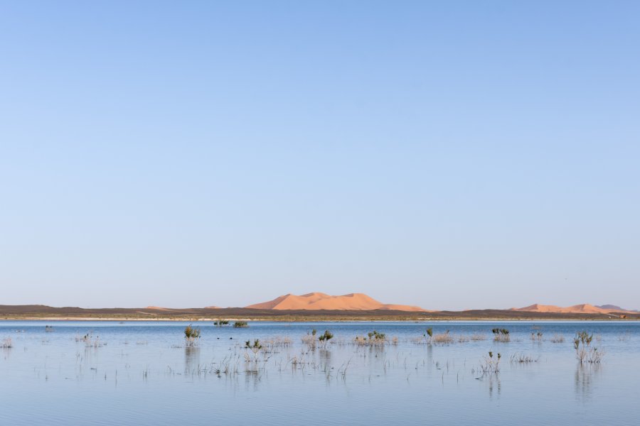 Lac Dayet Srij à Merzouga, Maroc