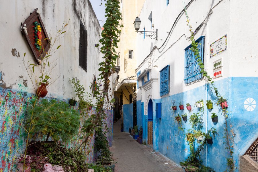 Ruelle de la médina de Tanger, Maroc