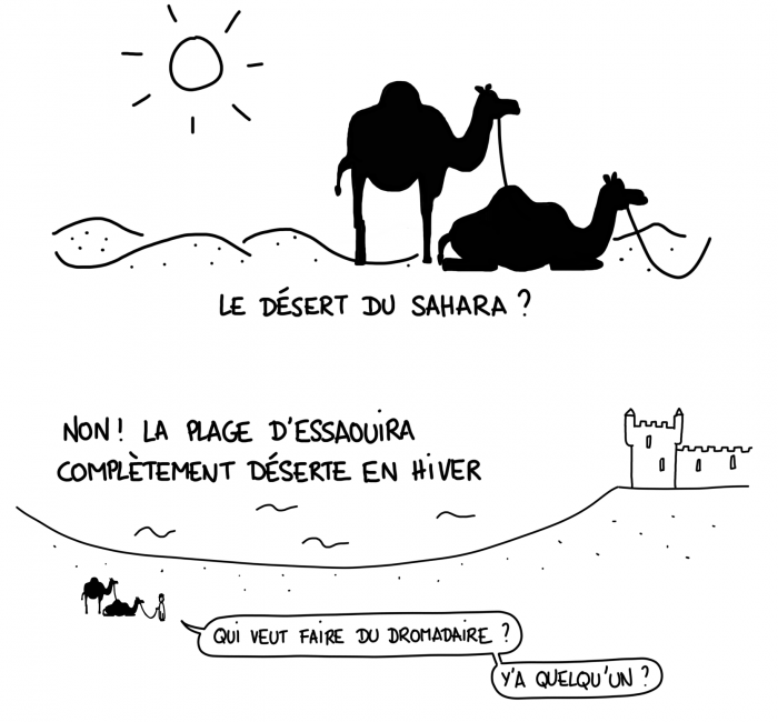 Dessin : dromadaires sur la plage d'Essaouira au Maroc