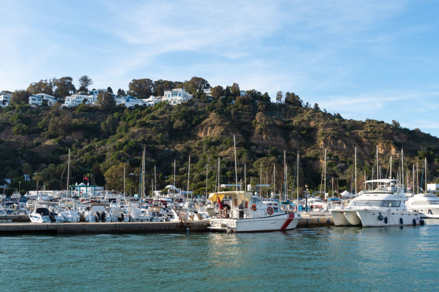 Port de Sidi Bou Saïd, Tunisie