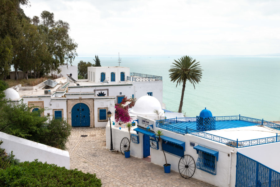 Café des délices à Sidi Bou Saïd