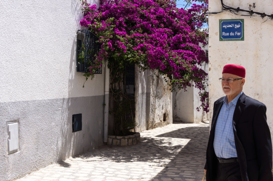 Bougainvilliers à Tunis