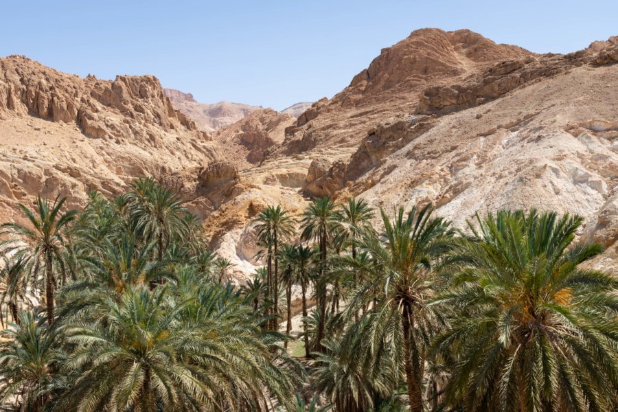 Oasis de montagne de Chebika, Tozeur