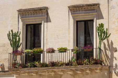 Cactus sur un balcon à Lecce, Italie