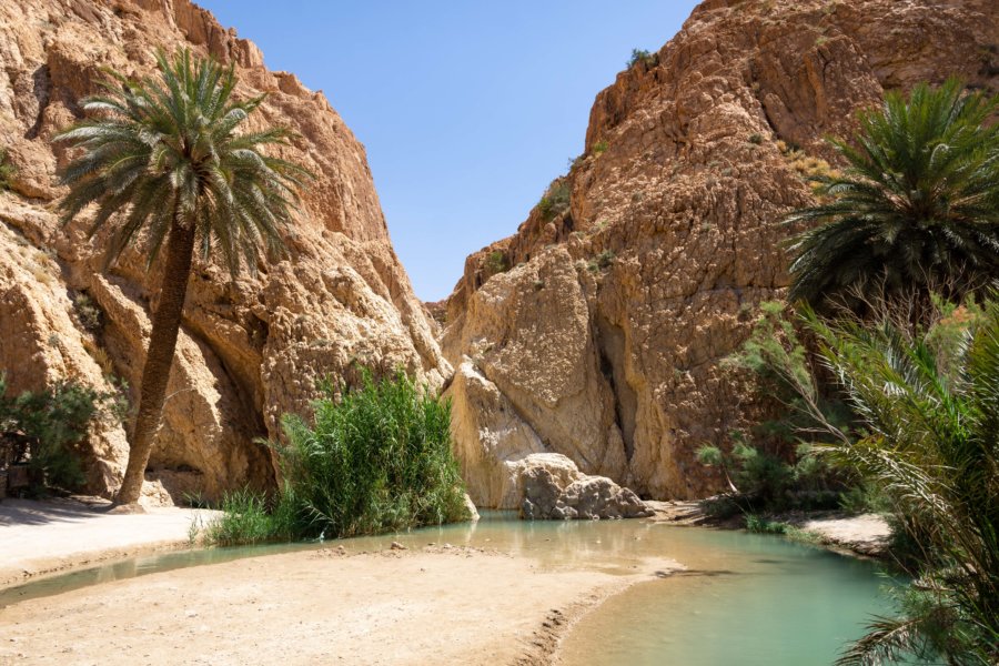 Lac turquoise à l'oasis de Chebika, Tunisie