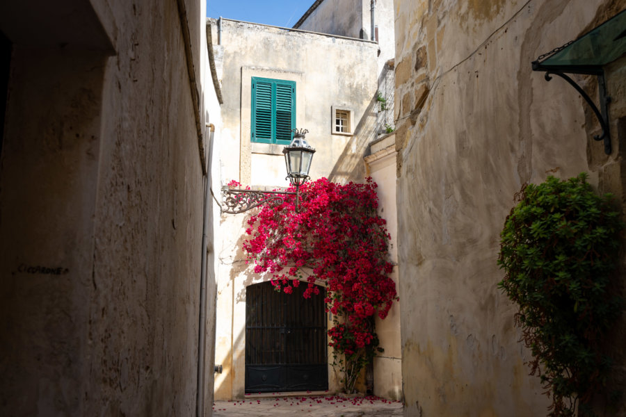 Maison et bougainvilliers à Lecce