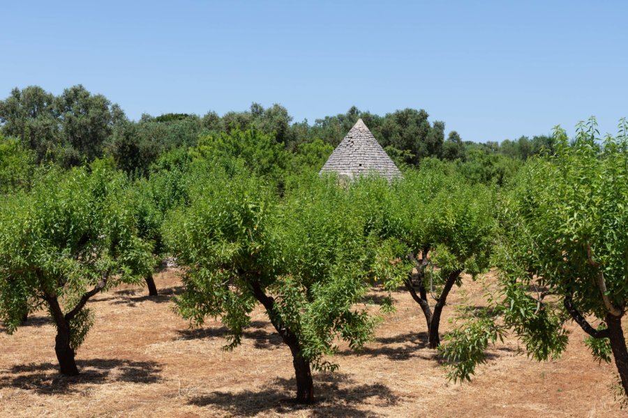 Trullo dans la campagne des Pouilles en Italie