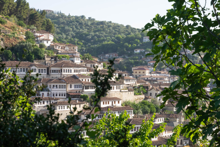 Vue sur Berat et ses maisons traditionnelles