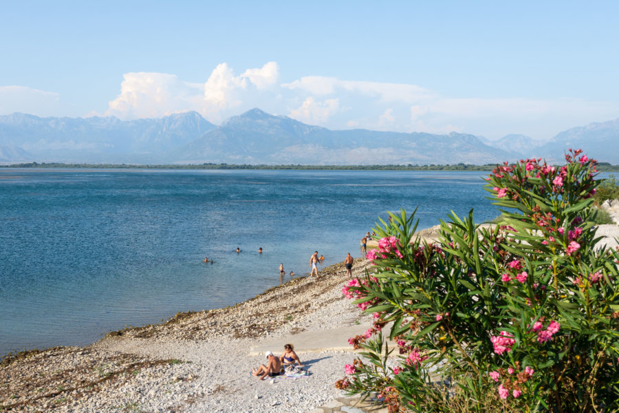 Lac de Shkodra en Albanie l'été