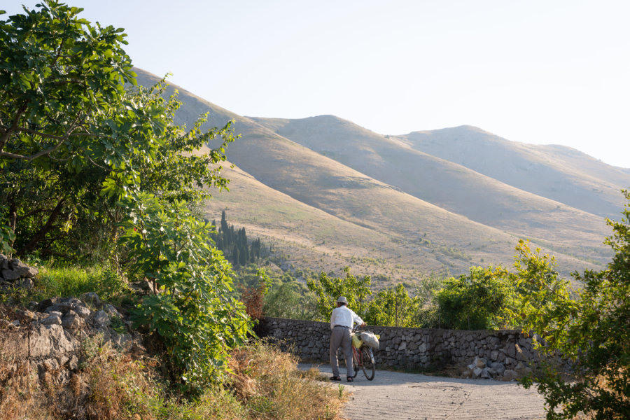 Vélo sur le lac de Shkoder en Albanie