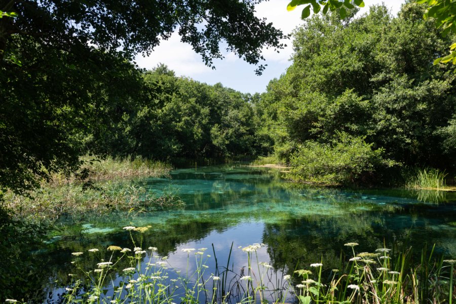 Rivière à Saint-Naum, Macédoine du Nord