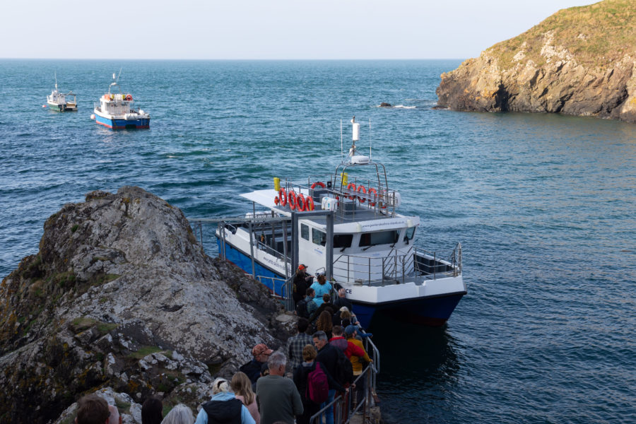 Bateau excursion vers l'île de Skomer au Pays de Galles