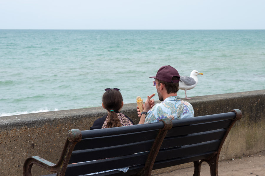 Banc, mer et mouette à Brighton