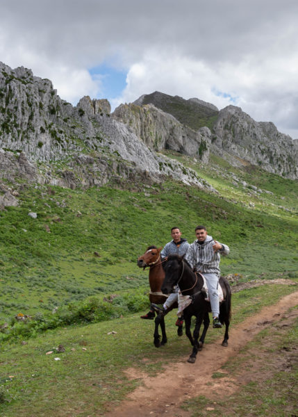 Chevaux sur le Monte Blanco, montagne près de Tetouan