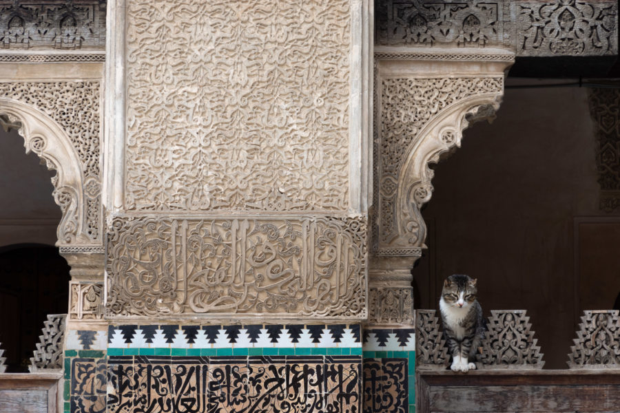 Médersa Bou Inania à Fès, Maroc