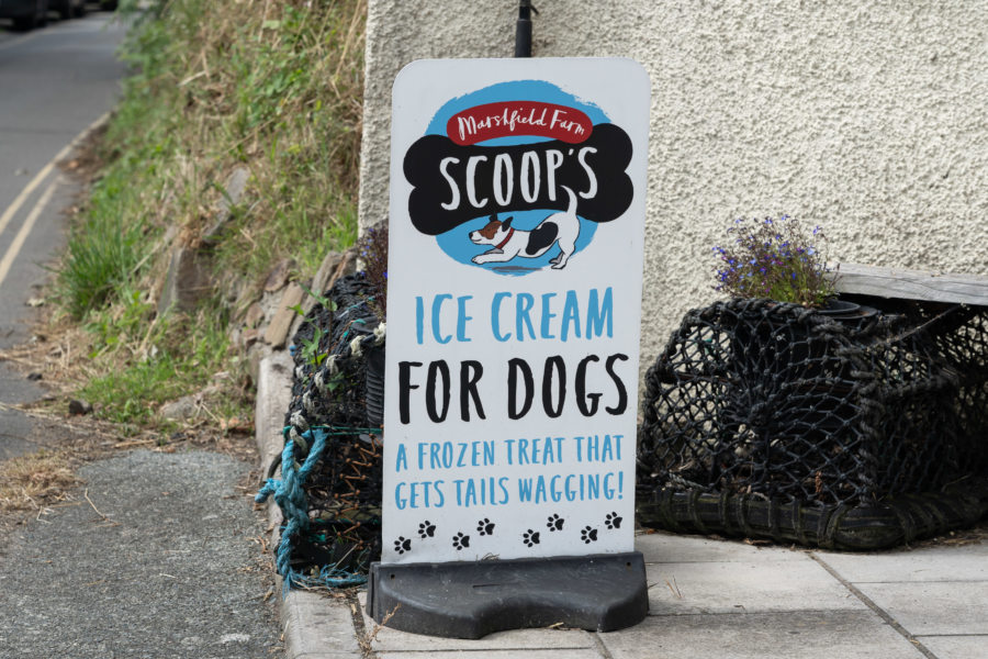 Glace pour chiens au Pays de Galles