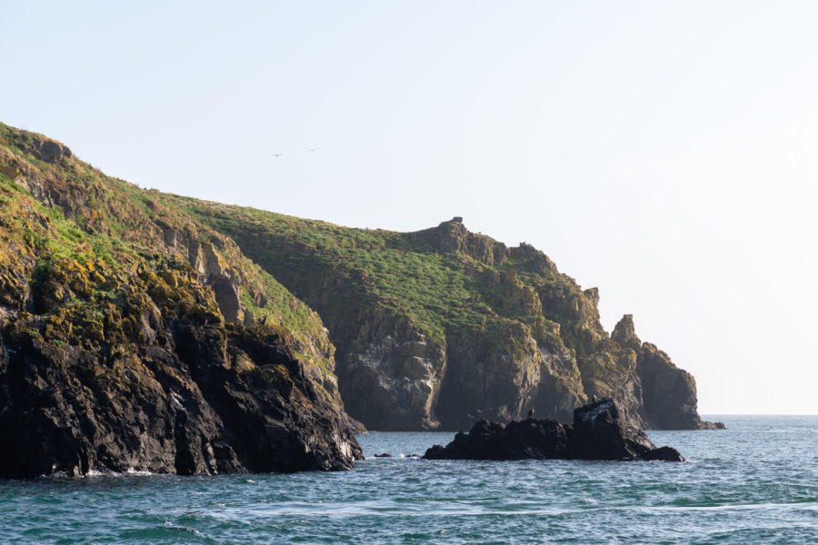 Paysages de l'île de Skomer au Pays de Galles