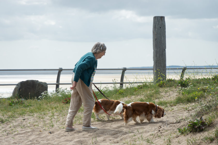Promeneuse avec ses chiens sur la plage de Llanelli