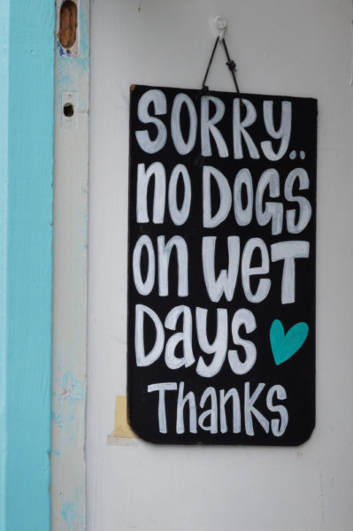 Panneau no dogs wet days