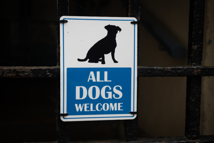 Panneau au Pays de Galles : all dogs welcome