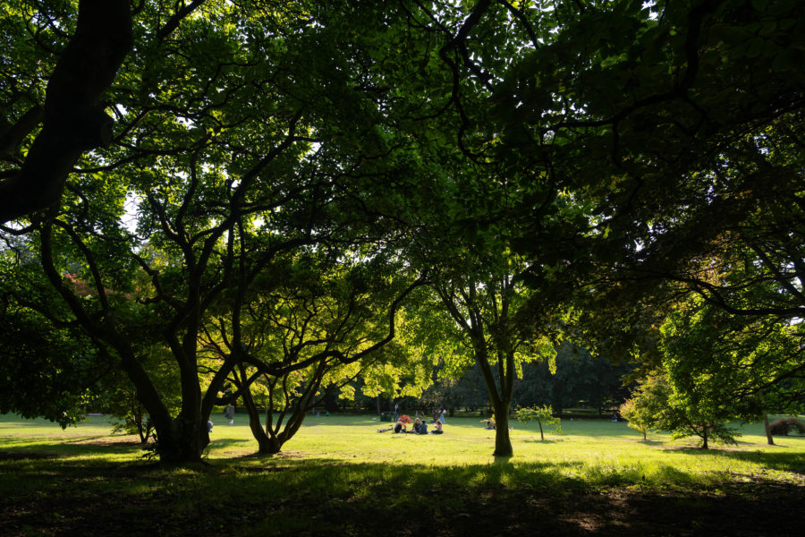 Parc dans la ville de Cardiff l'été