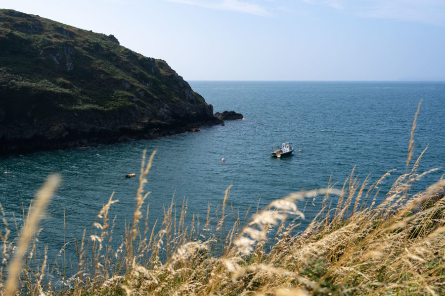 Crique à Marloes, le Pays de Galles l'été