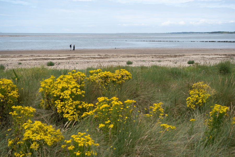 Plage de Llanelli, visite du Pays de Galles