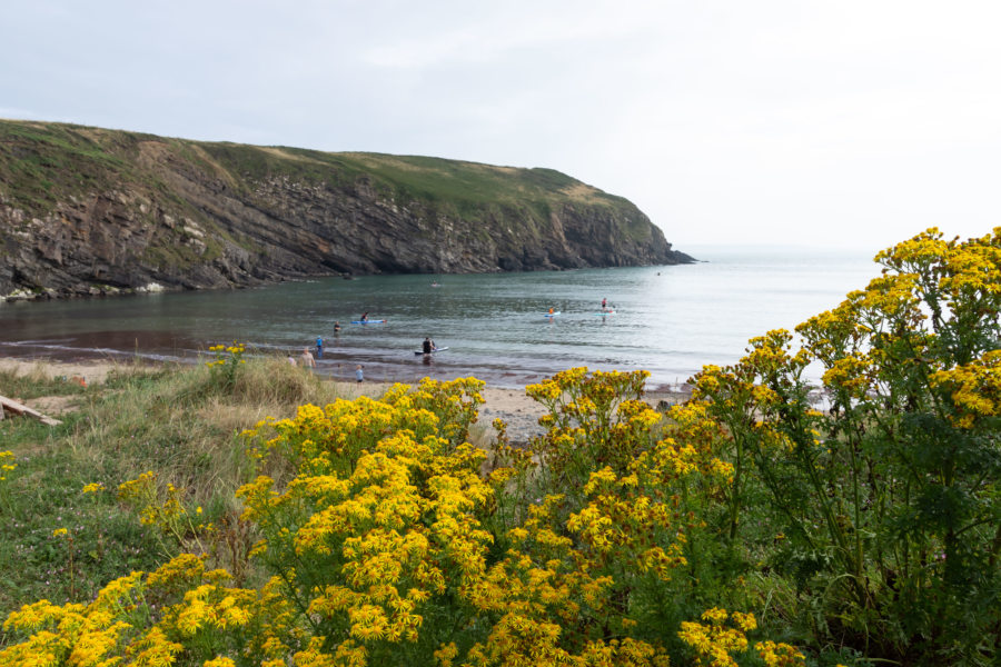 Plage de Nolton Haven, Pembrokeshire au Pays de Galles