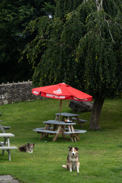 Pub Dolphin Inn à Llanrhidian