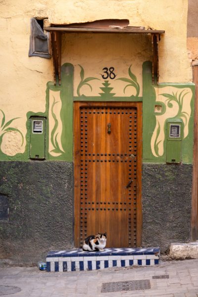 Ruelle au chat à Fès, Maroc