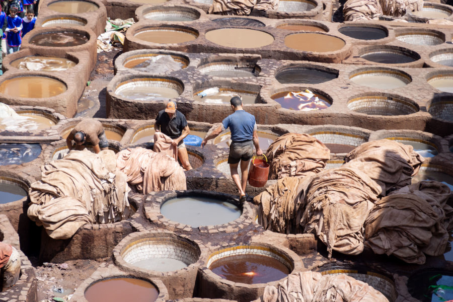 Tannerie de Chouara à Fès, Maroc