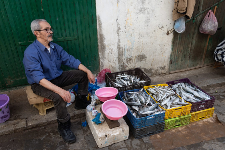 Vendeur de poissons au souk de Tetouan