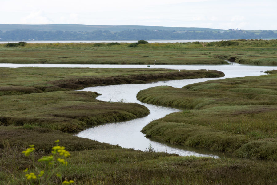 Cylotourisme au Pays de Galles : les marécages de Llanelli