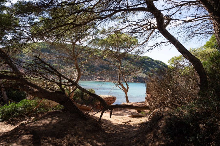 Vers la crique de Platja des Bot, Algaiarens