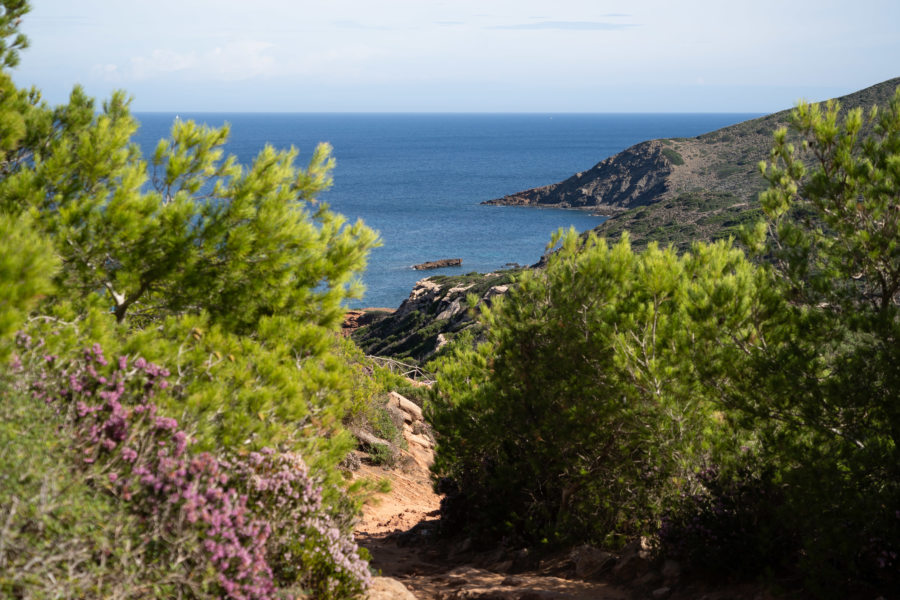 Marche vers Cala Pilar à Minorque