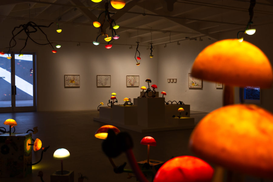 Exposition au musée d'Illa del Rei à Minorque