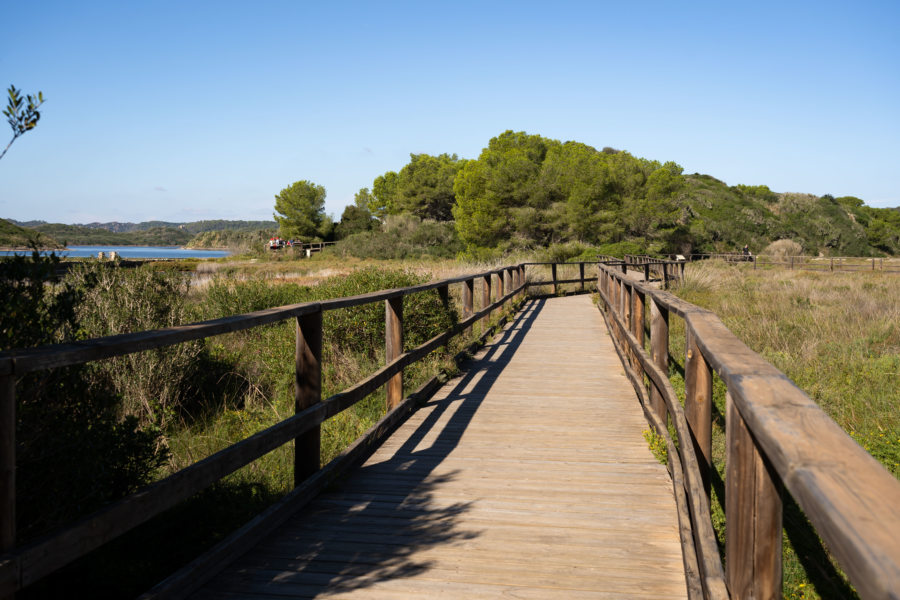 Parc naturel de S'Albufera d'Es Grau