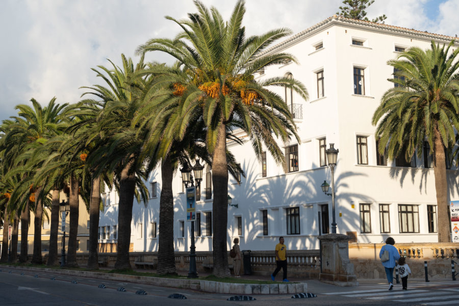 Ville de Ciutadella sous les palmiers à Minorque