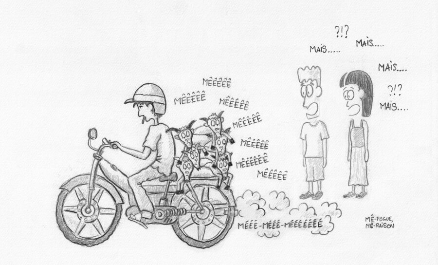 Dessin : une mobylette qui passe avec 6 chèvres dessus.