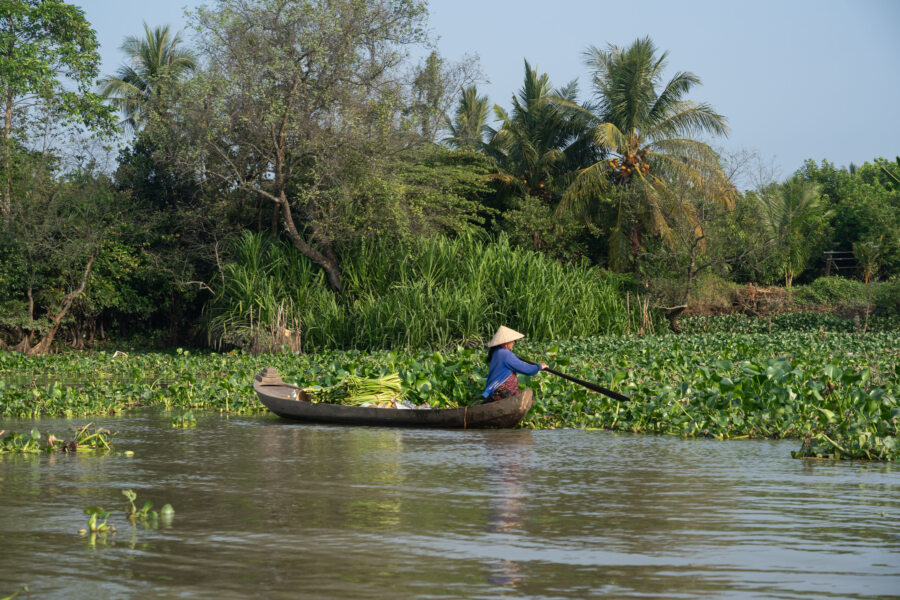 Barque sur le Co Chien près d'An Binh, Vinh Long