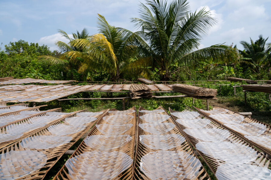 Papier de riz qui sèche à An Binh, voyage dans le delta du Mékong