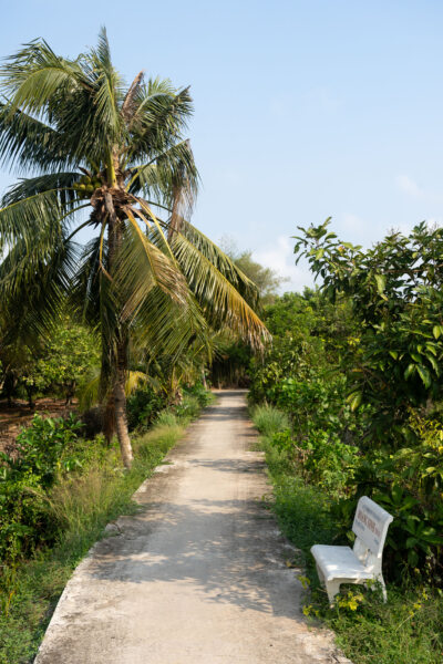 Palmier et banc sur l'île d'An Binh, Vietnam