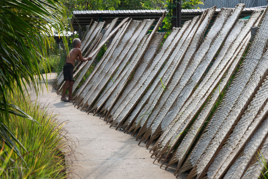 Papier de riz qui sèche à An Binh, voyage dans le delta du Mékong