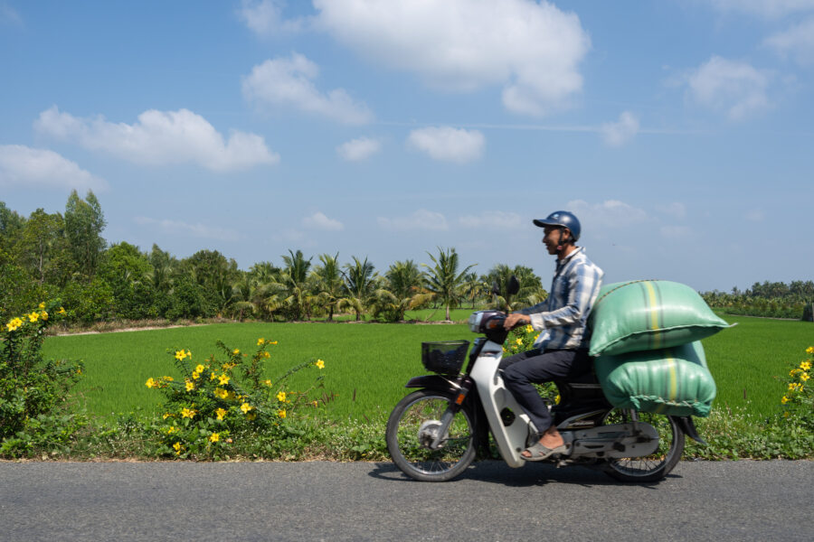 Scooter au milieu des rizières, voyage dans le delta du Mékong