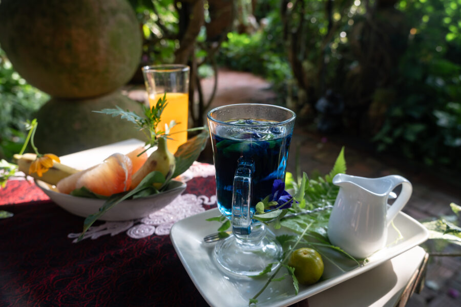 Thé et fruits sur la terrasse du homestay, delta du Mékong