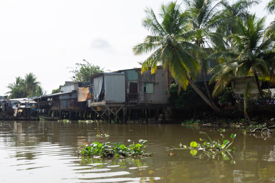 Tour en bateau sur le Mekon à Can Tho : maisons et palmiers